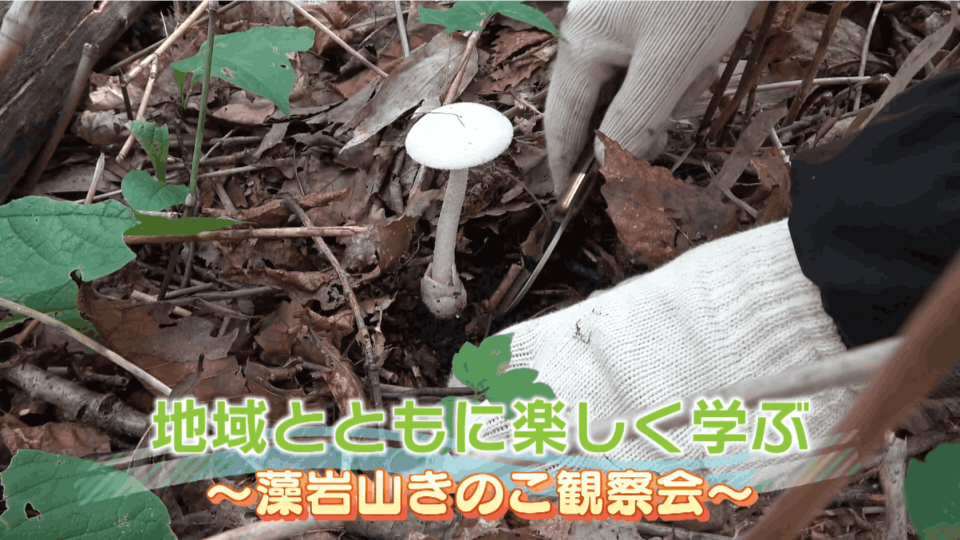 地域とともに楽しく学ぶ～藻岩山きのこ観察会～ | STVどさんこ動画＋