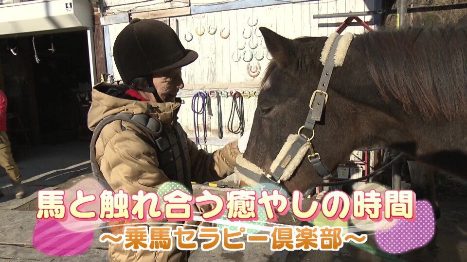 札幌ふるさと再発見 馬と触れ合う癒しの時間～乗馬セラピー倶楽部