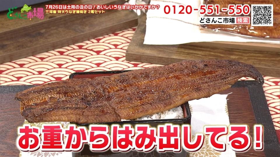 三河産特大うなぎ eel